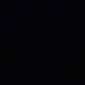 Meet your Posher, Isabella